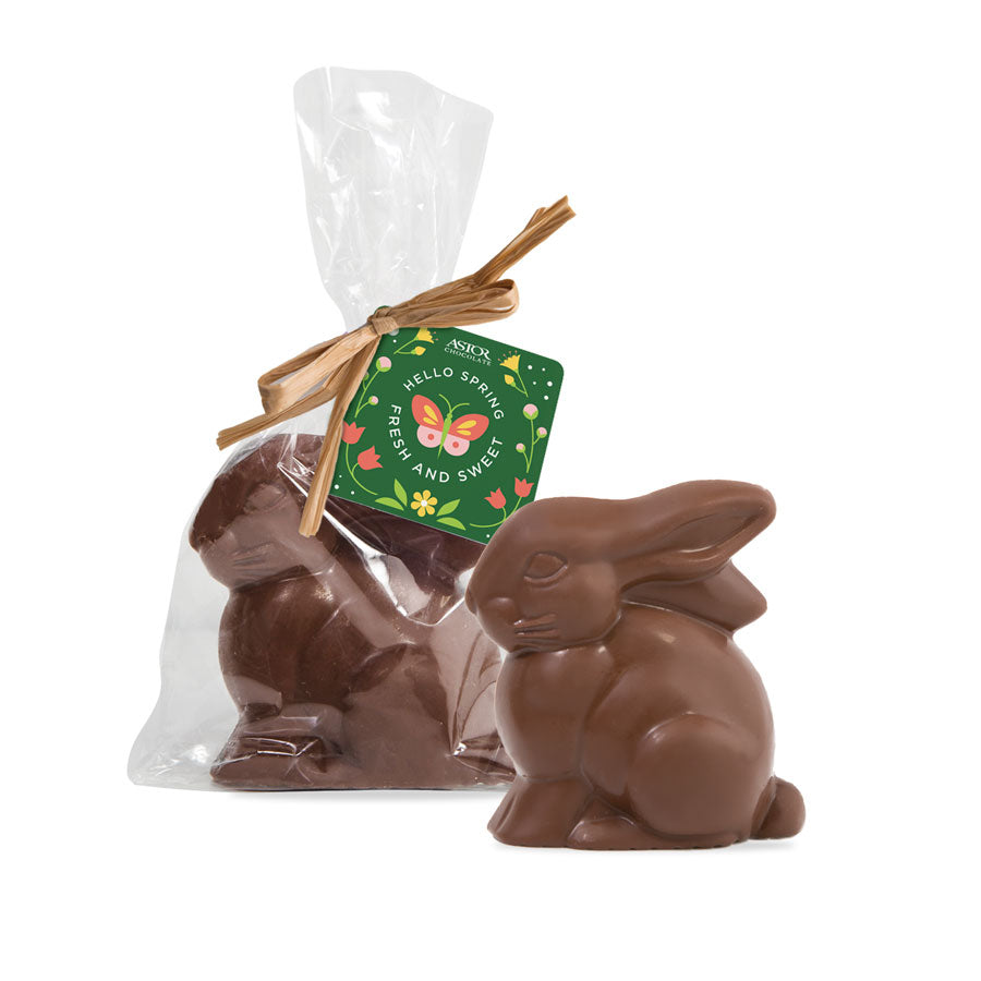 Spring - Milk Chocolate Bunny 3oz