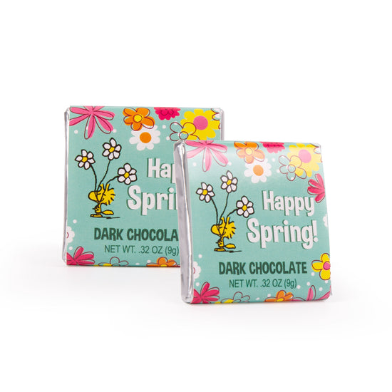 Peanuts Spring - Deluxe Dark Chocolate Squares 1.75 in.